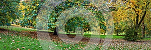 London Greenwich park in autumn