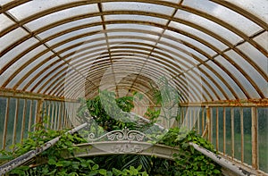 London, kew gardens: victorian green house photo