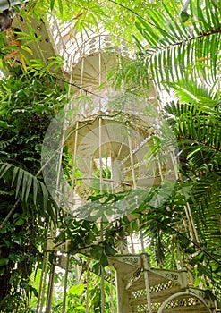 London, kew gardens: victorian staircase photo