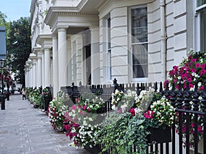 London, row of elegant townhouses