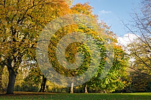 London, St. James Park (autumn)