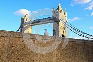 London tower bridge