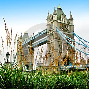 Londres la Torre puente 