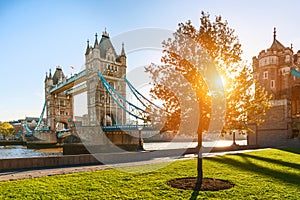 The london Tower bridge at sunrise