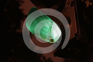 London, UK, 2.09.2019 - Green traffic light with spider web at night bottom-up