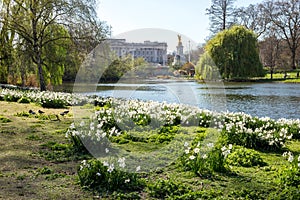 LONDON, UK - April 14, 2015: Buckingham Palace and gardens in London in a beautiful day