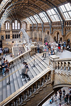 The Hintze Hall at the Natural History Museum in London