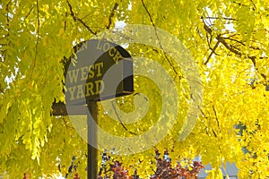 Camden Lock west yard sign under a tree with yellow leaves in autumn photo