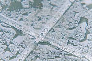 Diagonal lines grey pattern, Seamless texture