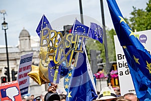 The march for a People`s Vote