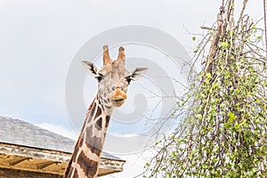 London zoo england