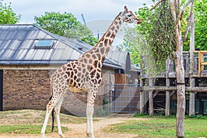 London zoo england