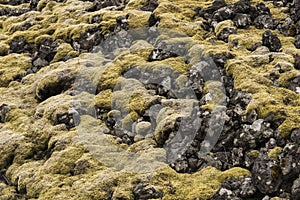 Londrangar Moss and Rocks photo