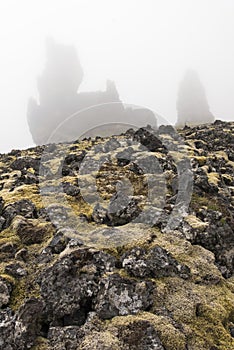 Londrangar Moss, Very Foggy - Vertical photo