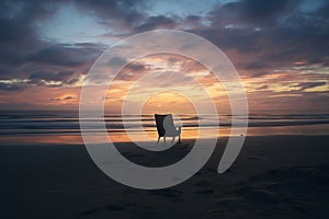 A lone beachcomber enjoying solitude at dawn