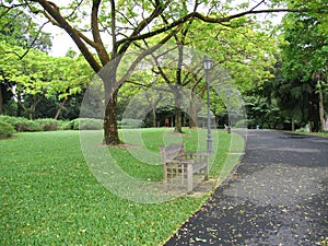 Lone bench in the park