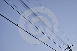 A lone bird perched along the power lines at dusk under a crescent moon