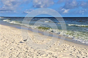 A lone bird stands on the ocean