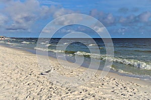 A lone bird stands on the ocean