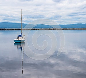 Lone blue and white sail boat in harbor