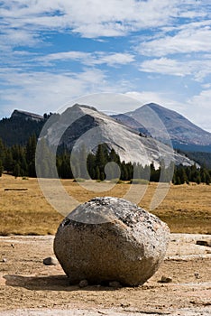 Lone boulder in Tuolumne Meadows