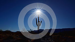 A lone cactus stands tall against the unforgiving sun its resilient nature a testament to the harsh conditions