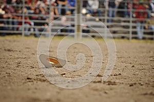 Lone Cowboy/Cowgirl hat