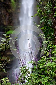 The Lone Creek Falls, dramatic waterfalls in the Blyde River Canyon, Panorama Route, South Africa