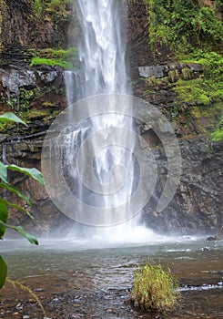 Lone Creek Falls, dramatic waterfalls in forested area in the Blyde River Canyon, Panorama Route near Sabie,South Africa