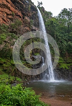 Lone Creek Falls, dramatic waterfalls in forested area in the Blyde River Canyon, Panorama Route near Sabie,South Africa