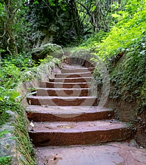 The Lone Creek Falls: walkway leading to the dramatic waterfalls in the Blyde River Canyon, Panorama Route, South Africa