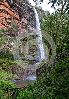 The Lone Creek Falls: walkway leading to the dramatic waterfalls in the Blyde River Canyon, Panorama Route, South Africa