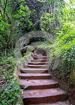 The Lone Creek Falls: walkway leading to the dramatic waterfalls in the Blyde River Canyon, Panorama Route, South Africa