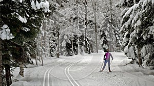 A lone Cross country skier