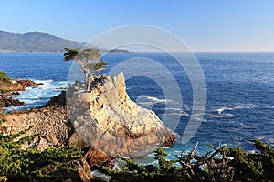 Lone Cypress California