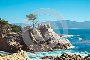 The Lone Cypress on scenic 17-mile drive, Pebble Beach, California, USA