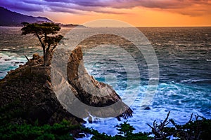 The Lone Cypress at Sunset, from the 17 Mile Drive, in Pebble Beach, California