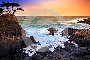 The Lone Cypress at Sunset, from the 17 Mile Drive, in Pebble Beach, California