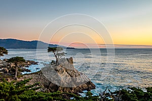 Lone Cypress tree view at sunset along famous 17 Mile Drive - Monterey, California, USA