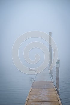 A lone dog chases a thrown ball into the cold and foggy waters o