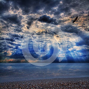 A lone eagle soars in pre-storm clouds over the smooth surface of the sea