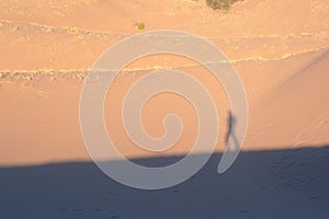 Lone explorer on the desert, casting shadow on the sand dunes on a hot sunny day.