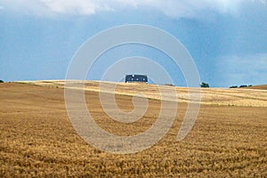 A lone farmhouse is visible on a hill in an endless wheat field. Evening rural landscape, rain clouds, wheat field with