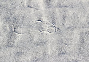 Lone footprint on white sand