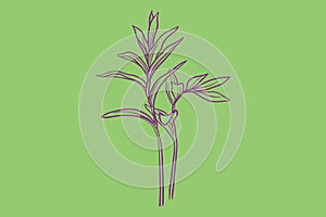 A lone forest floor plant stock illustration. A single tree stands on a green background in the springtime with leaves.