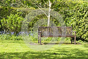 Lone garden bench set in a tranquil corner of a garden.