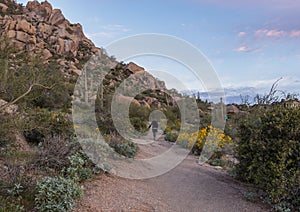 Lone Hiker Heading Up Desert Trail In Scottsdale, AZ