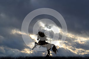 A Lone horse in a meadow.