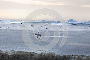 Lone Horse Rider on Beach