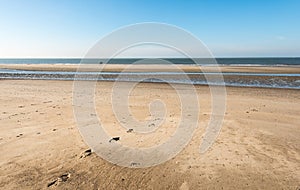 Lone horse rider in the surf